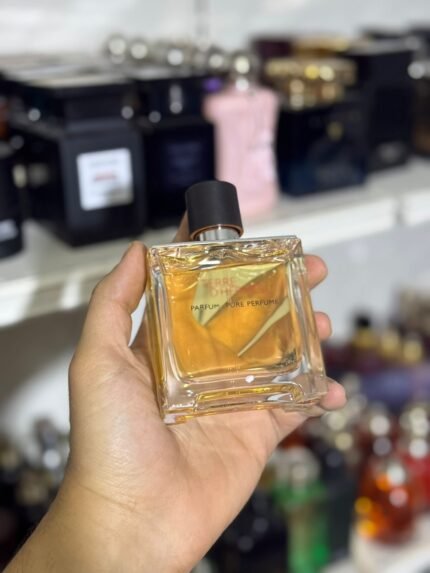 Hermès Terre d'Hermès Parfum EDP