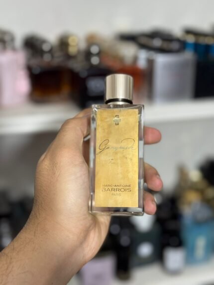 Marc Antoine Barrois Ganymede EDP