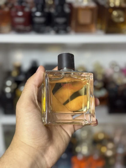 Hermes Terre d'Hermes EDT